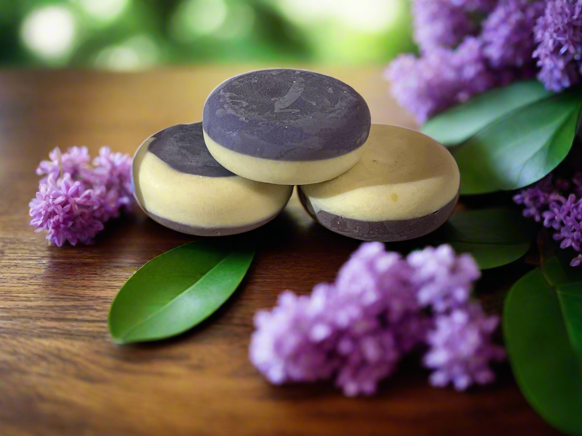 French Lilac