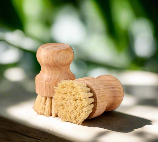 Dish Scrub Brush