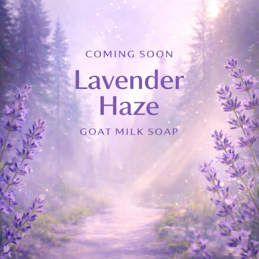 Lavender Haze